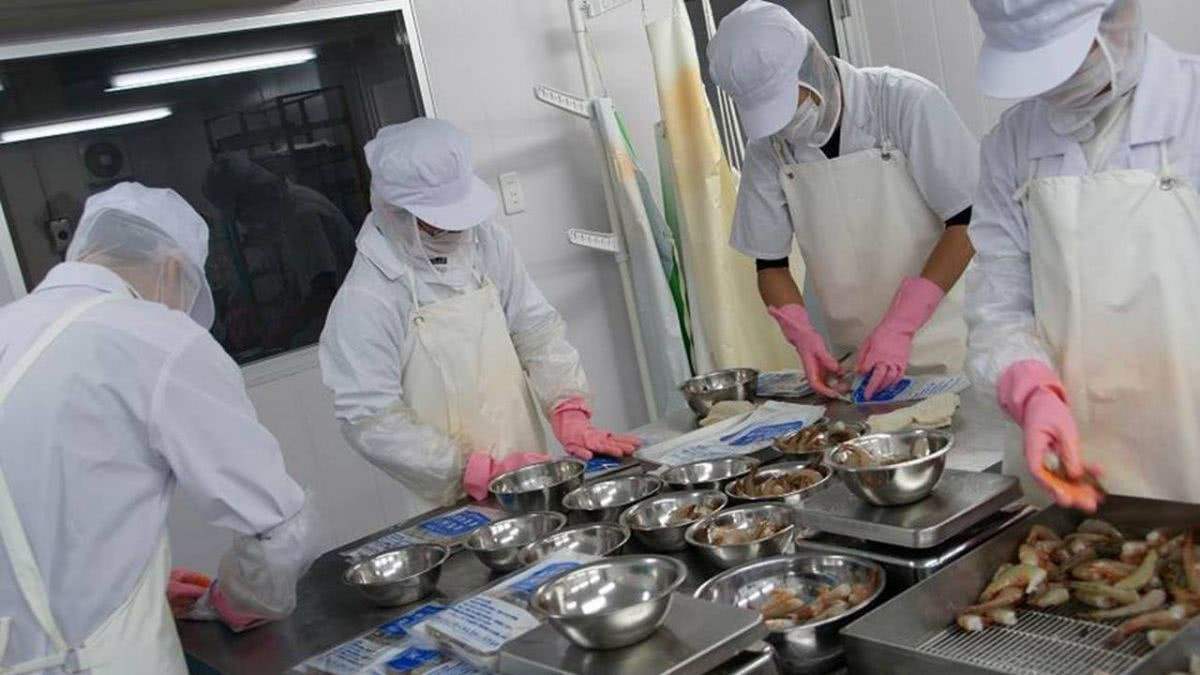 海鮮粗加工間-奇能設(shè)計百科